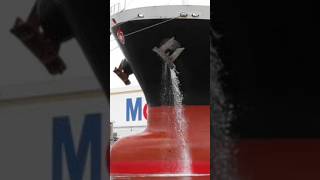 Why is the lower part of the ship painted red 🤯🤯🛳️🛳️ || #shorts #viral #short