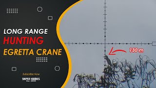 HUNTING EGRET CRANE 130 M