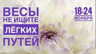 Весы ♎️ 18-24 ноября 2024 года 🌈🍀❤️☀️✨♌️💫Таро Ленорман прогноз предсказания