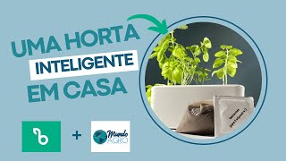 Conheça o BROTA DECOR  e a bBOX | Horta Inteligente