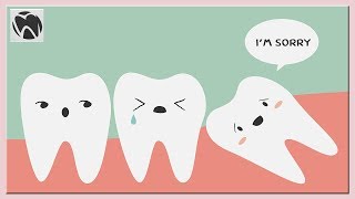 Does Everyone Get Wisdom Teeth | Wisdom Teeth