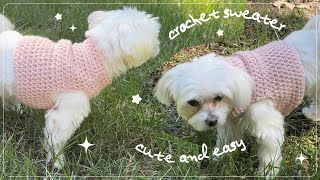 How to crochet a dog sweater - cute, beginner friendly, easy ୨୧˚