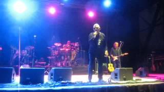 BEFORE YOU ACCUSE ME - Eric Burdon, live in Athens, 11/07/2014