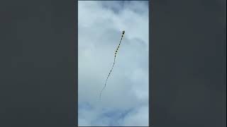 beautiful snake kite #kite