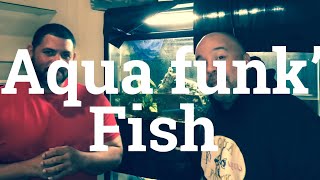 Fish from AQUA FUNK