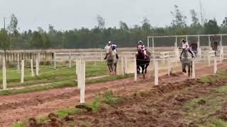 Jarara ganador de la penca de 3 en El Hipódromo Moisés Bertoni