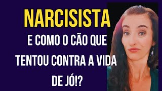 NARCISISTA TENTA CONTRA A VIDA DA VITIMA COMO O CÃO FEZ COM JÓ!?