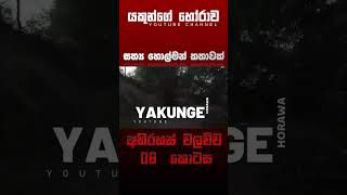 අභිරහස් වලව්ව 08 කොටස | sinhala holman katha #sinhalaholmankatha #horrortok #viral #foryou