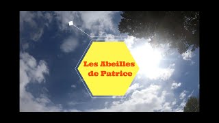 3. [Les Abeilles de Patrice] Apiculture : Comment j'allume mon enfumoir