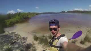 Kayak in Noosa Everglades