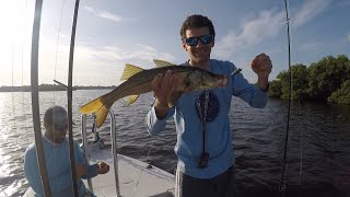 Inshore Snook and Jack Cravalle Catch in Sarasota + Delicious Snapper Sandwich Cook!!