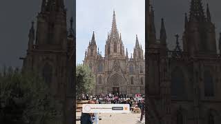 Catedral de Barcelona #shorts #barcelona