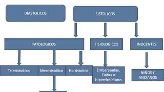 Fisiologia Tema 44 corazon Ruidos cardiacos, soplos y valvulopatias