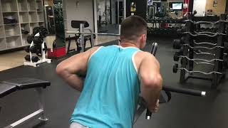 T-Row (Back Workout)