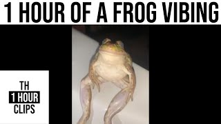 1 hour of a frog vibing