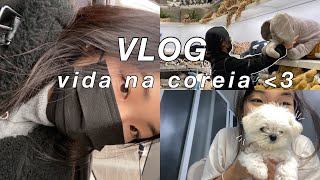 vida na coreia | vlog: ganhei um cachorrinho, unboxing, cozinhando, compras no mercado, ikea