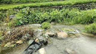 Megical view from Uttarakhand.