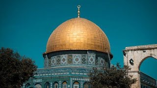 Hum Phool Bhi Hai Talwar Bhi Hai Ye Bazi Haq Ki Bazi Hai masjid e aqsa status full screen 4k #shorts