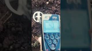 Находка класс! ДУМАЛ ФОЛЬГА, А ОКАЗАЛОСЬ...! Коп с XP ORX #metaldetecting #копновое #xp #coin