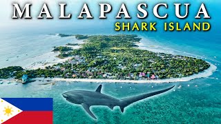 Malapascua - Tiny ISLAND OF SHARKS (usually harmless 🤓) 🇵🇭 Philippines Paradise Discovery Vlog