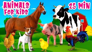 Cute Bebi Animals Funny Moment Rabbit,Dog,Cat, Goat,Cow, Horse,pig elephant ... Animals sound