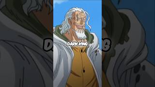 Slivers Rayleigh Explained #shorts #short #anime #onepiece #youtubeshorts #youtube #yt #ytshorts