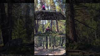 early morning climbing mountain | into the forest | us vacation