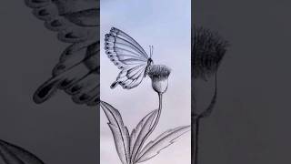 Flower and butterfly drawing video | butterfly drawing video |Flower drawing video