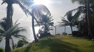 Phuket Paradise beach - picturesque paid 2p, palms, viewpoint, rocks