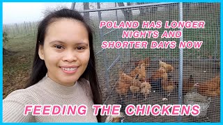 FILIPINA WORKER IN POLAND: FEEDING THE CHICKENS | MAKING APPLE JAM || Lhara Barnig 🌷