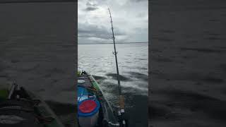 Fishing in the rain #indianriver #bearpointsanctuary #fortpierce