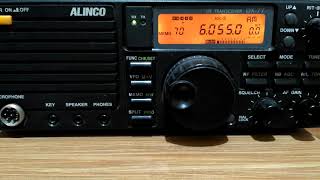 DXing RADIO NIKKEI 1 Freq. 6.055 Mhz