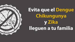 Prevención del #Zika, #Chikungunya y #Dengue