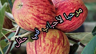 لايف +احباب ،أصدقاء_مناقشة عدت نقط#