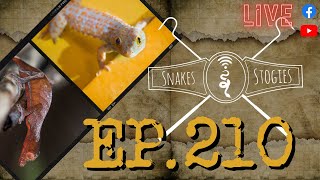 ason Morrow & Anthony Uzar of The Gecko Exchange Podcast | Snakes & Stogies Ep. 210