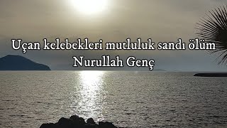 Uçan kelebekleri mutluluk sandı ölüm | Nurullah Genç