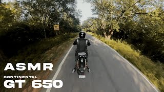 Riding through the woods continental GT 650 4K