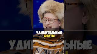 Божьи Коровки: Удивительные факты! 🤣  #натальнаякарта #олесяиванченко #харламов #димажуравлев