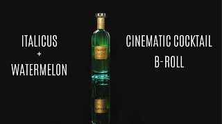 Cinematic Cocktail B-Roll Italicus + Watermelon | Behind The Scenes