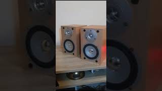 Goodmans bookshelf speakers