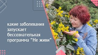 У кого есть эта программа: "Не живи, не существуй, исчезни".