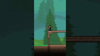 Build House Terraria Speed #Shorts