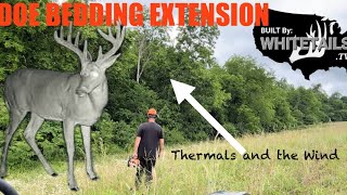 Whitetail Doe Bedding Extended by Edge Feathering and Reclaiming: Built By Whitetails TV Segment