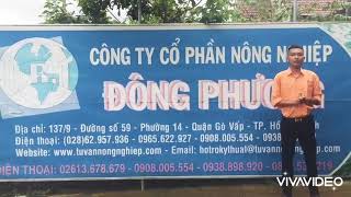 Giống chanh dây tím cn Đài Loan- Dr.House No.1