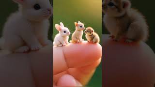 Cute animals in finger 😍😍