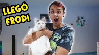 LLEGÓ UNA NUEVA GATITA A CASA !!