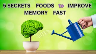 5 Secret Foods that Increase Memory and Brain function / Brain Boosting Foods and Easy recipes