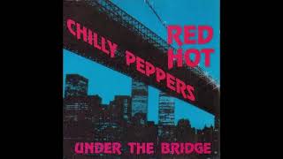 Red Hot Chili Peppers - Under The Bridge