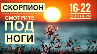 Скорпион ♏️ 16-22 сентября 2024 года 🗝🍀✨❤️☀️☀️Таро Ленорман прогноз предсказания