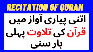 Recitation of Quran in best voice | Amazing tilawat e Quran in beautiful voice | Relaxing your soul